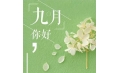 九月，這些新規將影響你的生活！