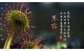 今日寒露 | 裊裊涼風動，凄凄寒露零